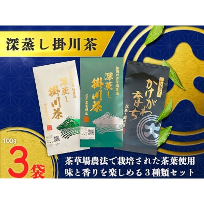 深蒸し掛川茶三昧セット　100g×3袋(ギフト箱入)【配送不可地域：離島・沖縄県】【1652728】