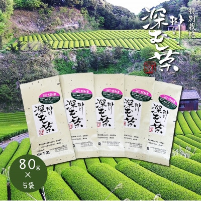 特別栽培-掛川深蒸し茶　80g×5袋セット【配送不可地域：離島・沖縄県】【1599996】