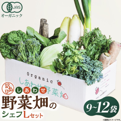 しあわせ野菜畑のシェフLセット　(訳あり規格外の有機野菜を一部使用)【配送不可地域：離島・北海道・沖縄県・四国・九州】【1608189】