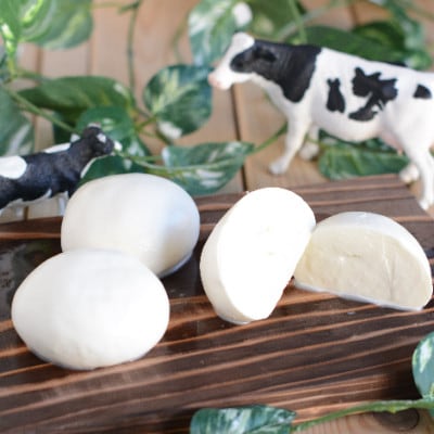 うしづまチーズ工場　ナチュラルチーズ3種セット【配送不可地域：離島・北海道・沖縄県・四国・九州】【1601780】