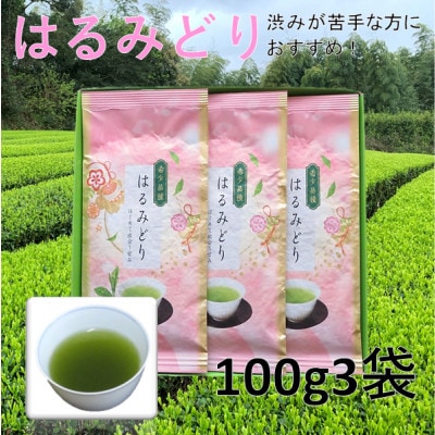 【数量限定】渋いお茶が苦手な方から大好評!産地直送 希少品種「はるみどり」100g×3袋【配送不可地域：離島・沖縄県】【1616208】