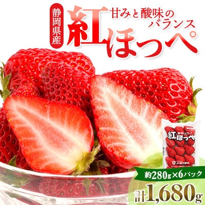 【発送月固定定期便】静岡県掛川市産 ミズノ農園 紅ほっぺ280g×6・完熟いちじくDXパック全2回【配送不可地域：離島・北海道・沖縄県・東北・中国・四国・九州】【4086594】