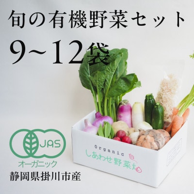 【毎月定期便】しあわせ野菜畑の有機野菜　Lセット　(安心の有機JAS認証　オーガニック野菜)全12回【4075081】