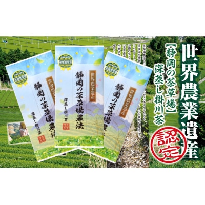 世界農業遺産 茶草場農法 深蒸し掛川茶 100g×3袋 静岡県掛川産 煎茶 一番茶【配送不可地域：離島・沖縄県】【1619202】