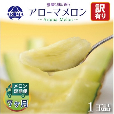 【毎月定期便】【訳あり】アローマメロン 1玉　全7回【配送不可地域：離島・北海道・沖縄県】【4072002】