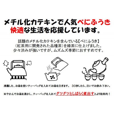 べにふうき緑茶 ティーバッグ5g・10包入り×4袋 静岡県掛川市産 深蒸し製法【配送不可地域：離島・沖縄県】【1736753】