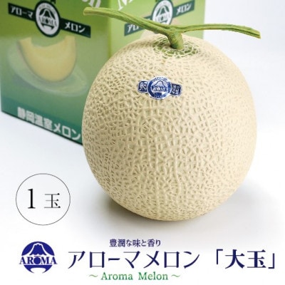 【通年出荷】アローマメロン 白等級(大玉) 1玉入【配送不可地域：離島・北海道・沖縄県】【1170110】