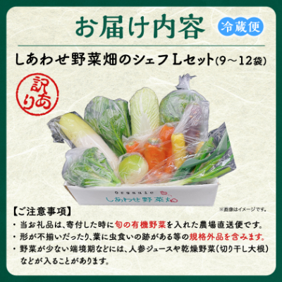 しあわせ野菜畑のシェフLセット　(訳あり規格外の有機野菜を一部使用)【配送不可地域：離島・北海道・沖縄県・四国・九州】【1608189】