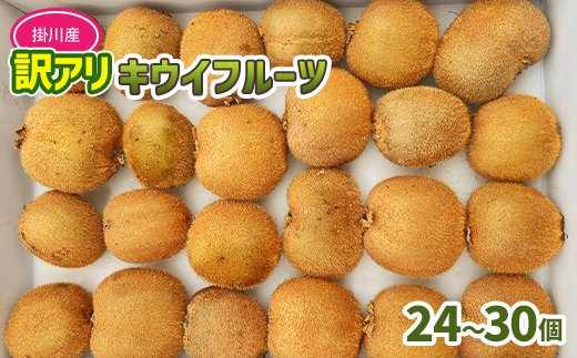 農園直送!訳アリキウイフルーツ2kg〜2.4kg(24個〜30個)【配送不可地域：離島・北海道・沖縄県・四国・九州】【1705165】