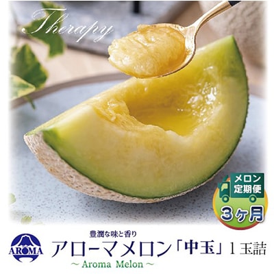 【毎月定期便】アローマメロン白等級(中玉) 1玉 全3回【配送不可地域：離島・北海道・沖縄県】【4013016】