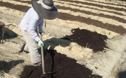 掛川の小さな茶農家直送　農業遺産茶草場実践工場　 深蒸し掛川茶『うぐいす』80g×5袋【配送不可地域：離島・沖縄県】【1585036】
