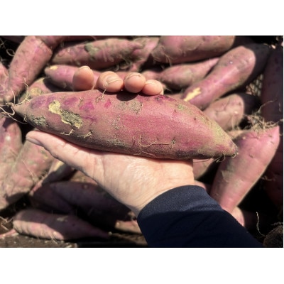 謗帛キ晉肇辭滓 邏縺ッ繧九°縲占ィウ縺ゅj縲9kg縲宣埼∽ク榊庄蝨ー蝓滂シ夐屬蟲カ繝サ豐也ク逵後代1668454縲