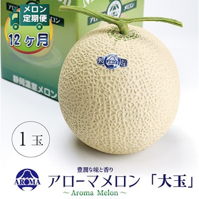 【毎月定期便】アローマメロン白等級(大玉) 1玉 全12回【配送不可地域：離島・北海道・沖縄県】【4013014】