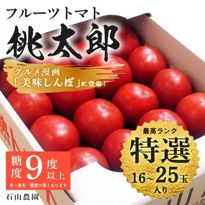【特選】トマト 美味しんぼに登場したトマト「桃太郎」16〜25玉 ランク:特選　糖度9度以上【配送不可地域：離島・沖縄県】【1604229】