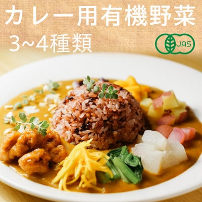 有機野菜でカレーを作ろう　カレーに使える有機野菜を3〜4種類　定番野菜だからなんにでも使えます。【配送不可地域：離島・北海道・沖縄県・四国・九州】【1568592】