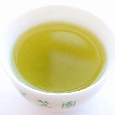 深蒸し掛川茶 掛川の城 セット500g×2袋(1kg)【配送不可地域：離島・沖縄県】【1091796】