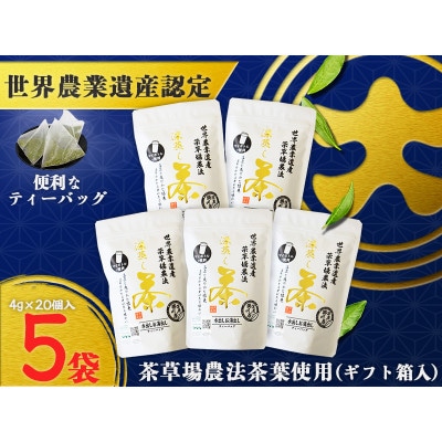 深蒸し掛川茶TB「茶草場のしずく」(4g×20個)×5袋セット【配送不可地域：離島・沖縄県】【1652805】