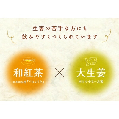 優しいしょうが紅茶「ジンジャーティー」(紅茶、生姜、共に掛川産)ティーバッグ2g×13入り×5袋【配送不可地域：離島・沖縄県】【1365356】