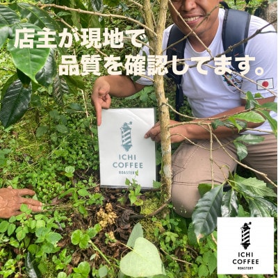 ジャコウネコ由来の希少コーヒー 野生コピルアック珈琲・掛川自家焙煎で丁寧に仕上げた贈答品 100g【配送不可地域：離島・沖縄県】【1651759】