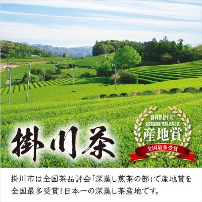 ＜2026年新茶・先行受付＞掛川茶「深蒸し茶の郷 掛川」100g×3本セット　5月上旬発送予定【配送不可地域：離島・沖縄県】【1721738】