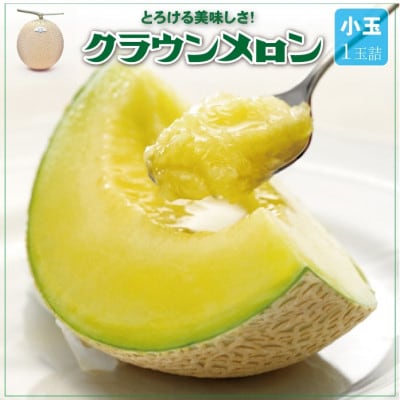 【通年出荷】クラウンメロン(小玉) 1玉【配送不可地域：離島・北海道・沖縄県】【1486509】