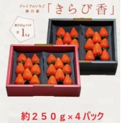 【先行受付】いちご【きらぴ香】1箱 (1箱4パック入り 約250g×4)【配送不可地域：離島・北海道・沖縄県・四国・九州】【1634075】