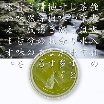 深蒸し掛川茶　金の水出し緑茶ティーバッグ　5g×30個入り×3袋セット【配送不可地域：離島・沖縄県】【1648291】