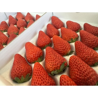 çŽ
ã»ã£ãº280gÃ4ããã¯ãããããå®çãã¡ããé
éäžå¯å°åïŒé¢å³¶ã»åæµ·éã»æ²çžçã»ååœã»ä¹å·ãã1710614ã