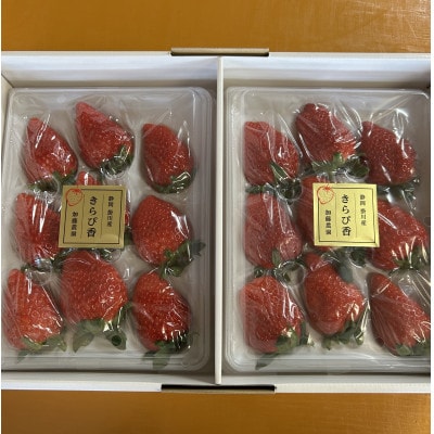 【先行受付】いちご【きらぴ香】1箱 (1箱2パック入り 約450g×2)【配送不可地域：離島・北海道・沖縄県・四国・九州】【1638885】