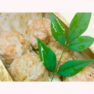 ふっくらジューシー♪ジャンボシュウマイ　12個(6個入×2パック)【配送不可地域：離島・北海道・沖縄県・東北・中国・四国・九州】【1499623】