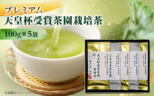 天皇杯受賞茶園栽培のプレミアム茶100g×5袋【配送不可地域：離島・沖縄県】【1551501】