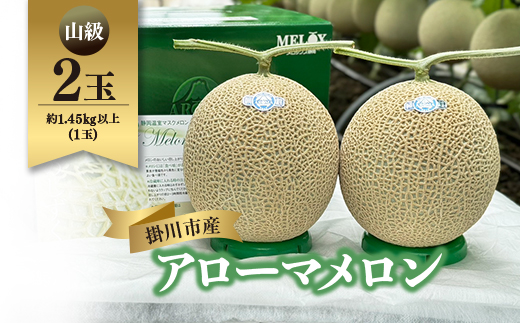 静岡暗室マスクメロン アローマ印　　　　　山級約1.45kg以上　2玉【配送不可地域：離島・北海道・沖縄県】【1502265】