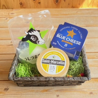 うしづまチーズ工場　ナチュラルチーズ3種セット【配送不可地域：離島・北海道・沖縄県・四国・九州】【1601780】