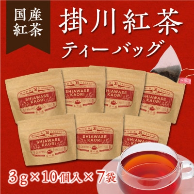 アナンダ・フェルナンド氏 直伝!掛川紅茶ティーバッグ7袋セット【配送不可地域：離島・沖縄県】【1317188】