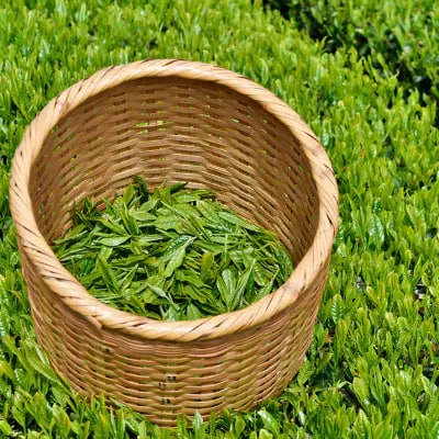 2022幎床ãiTQi(åœéå³èŠå質ã³ã³ã¯ãŒã«)åªç§å³èŠè³åè³è¶ããããã100gÃ7æ¬ã»ãããé
éäžå¯å°åïŒé¢å³¶ã»æ²çžçãã1311720ã