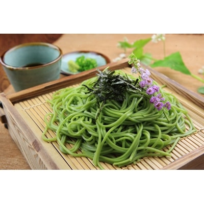 掛川そねの生茶そば(つゆ付き)220g (約2人前)×4袋セット【配送不可地域：離島・北海道・沖縄県・四国・九州】【1119888】