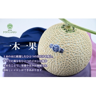高級クラウンマスクメロン白級　1.3kg以上×1玉入り【配送不可地域：離島・北海道・沖縄県・四国・九州】【1597049】
