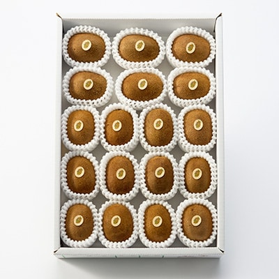 5885　掛川産グリーンキウイ「ヘイワード」18〜20個(ギフト箱入り)【配送不可地域：離島・北海道・沖縄県・四国・九州】【1603138】