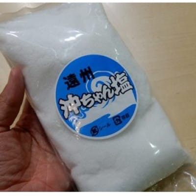 遠州沖ちゃんクラブ 掛川産・天日干しで作った塩 500g×2袋 計1kg 詰め合わせ【配送不可地域：離島・沖縄県】【1681789】