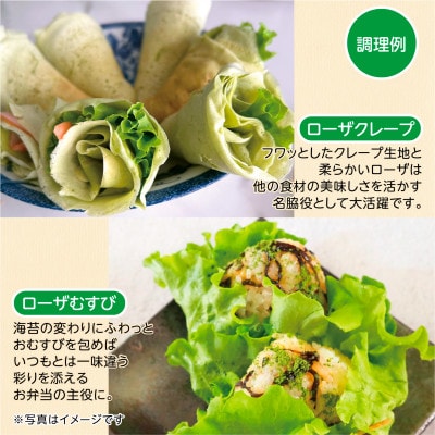 【こだわりの1種×6個セット】リーフレタス「掛川ラットューガ・ローザ」【配送不可地域：離島・北海道・沖縄県・四国・九州】【1695158】