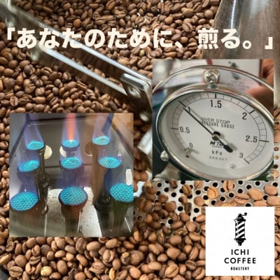 ãèŽççšãèªå®¶çç
åºäž»å³éžã¹ãã·ã£ã«ãã£ã³ãŒã㌠400g(200gÃ2çš®) ç²(äžçްæœã)ãé
éäžå¯å°åïŒé¢å³¶ã»æ²çžçãã1668217ã