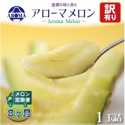【毎月定期便】【訳あり】アローマメロン 1玉　全8回【配送不可地域：離島・北海道・沖縄県】【4072000】