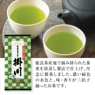 特上深蒸し掛川茶「健康長寿の里 掛川」100g×5本セット【配送不可地域：離島・沖縄県】【1650540】