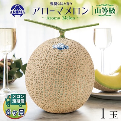【毎月定期便】アローマメロン(山等級) 1玉 全6回【配送不可地域：離島・北海道・沖縄県】【4012999】