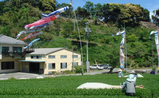 掛川の小さな茶農家直送　農業遺産茶草場実践工場　 深蒸し掛川茶『うぐいす』80g×5袋【配送不可地域：離島・沖縄県】【1585036】