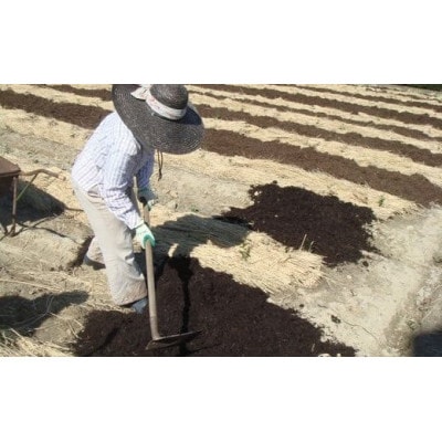 æå·ã®å°ããªè¶èŸ²å®¶çŽé 蟲æ¥éºç£è¶èå Žå®è·µå·¥å Ž æ·±èžãæå·è¶ãããããã 200gÃ2ãé
éäžå¯å°åïŒé¢å³¶ã»æ²çžçãã1674940ã