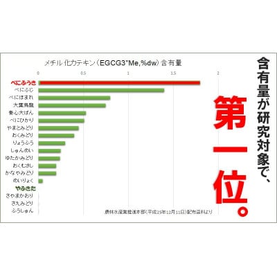 べにふうき緑茶 ティーバッグ5g・10包入り×4袋 静岡県掛川市産 深蒸し製法【配送不可地域：離島・沖縄県】【1736753】
