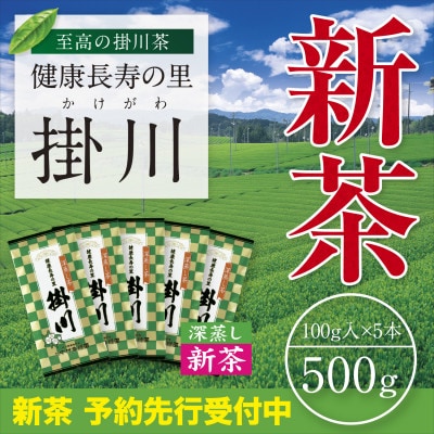 【新茶予約・令和8年度産】特上掛川茶「健康長寿の里 掛川」100g×5本セット　5月上旬頃〜発送【配送不可地域：離島・沖縄県】【1721705】