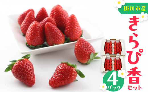 きらぴ香セット(4パック)【配送不可地域：離島・北海道・沖縄県・四国・九州】【1676905】