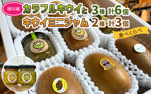 掛川産 カラフルキウイ 3種6個と キウイミニジャム 3個セット キウイフルーツカントリー　5884【配送不可地域：離島・北海道・沖縄県・四国・九州】【1652676】